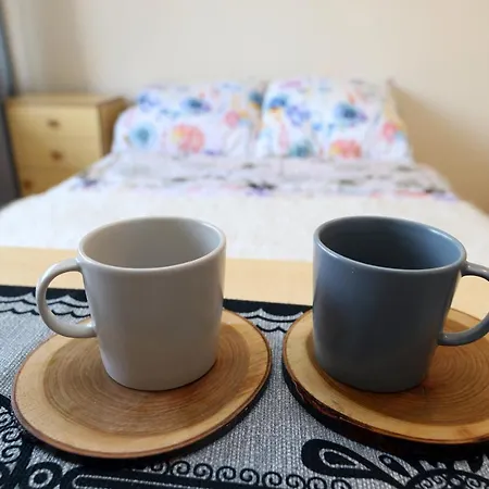 U Flisaka Homestay *